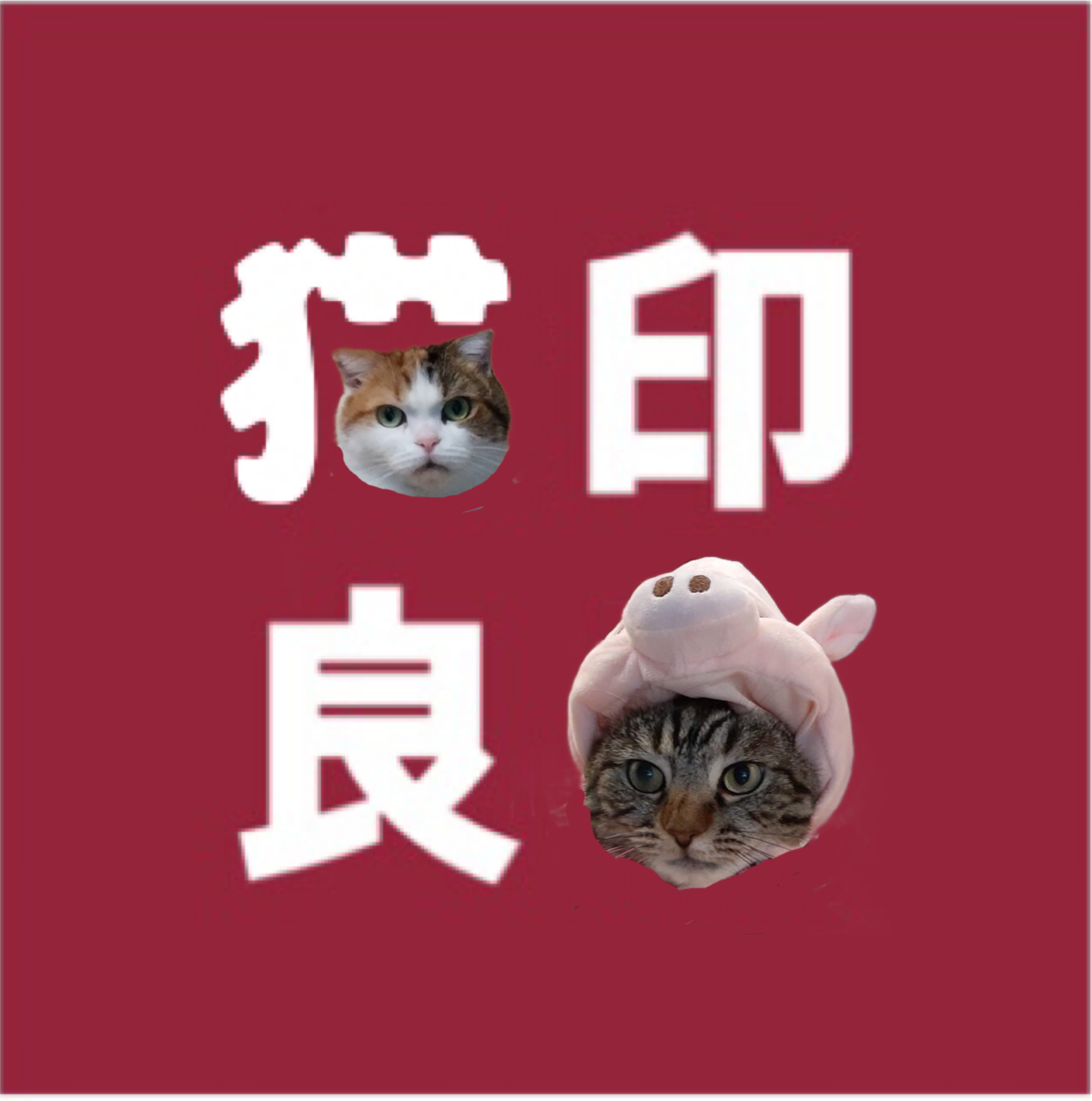 meow(にゃん)