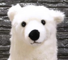 こっとん3
