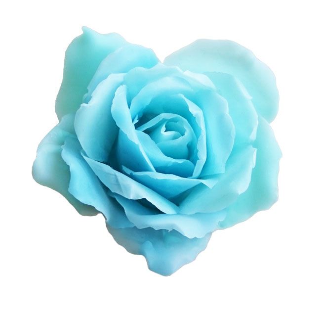 かりこん。。。