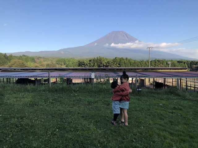 ayapanw2536
