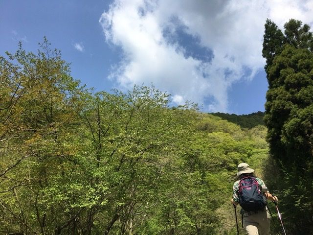 ぴよ０１２８