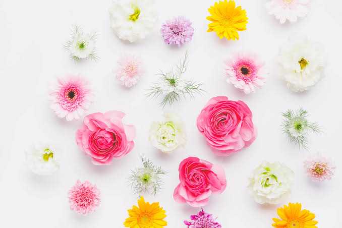 みーちゃんママ0526