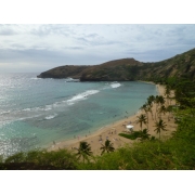 しろたん02150226