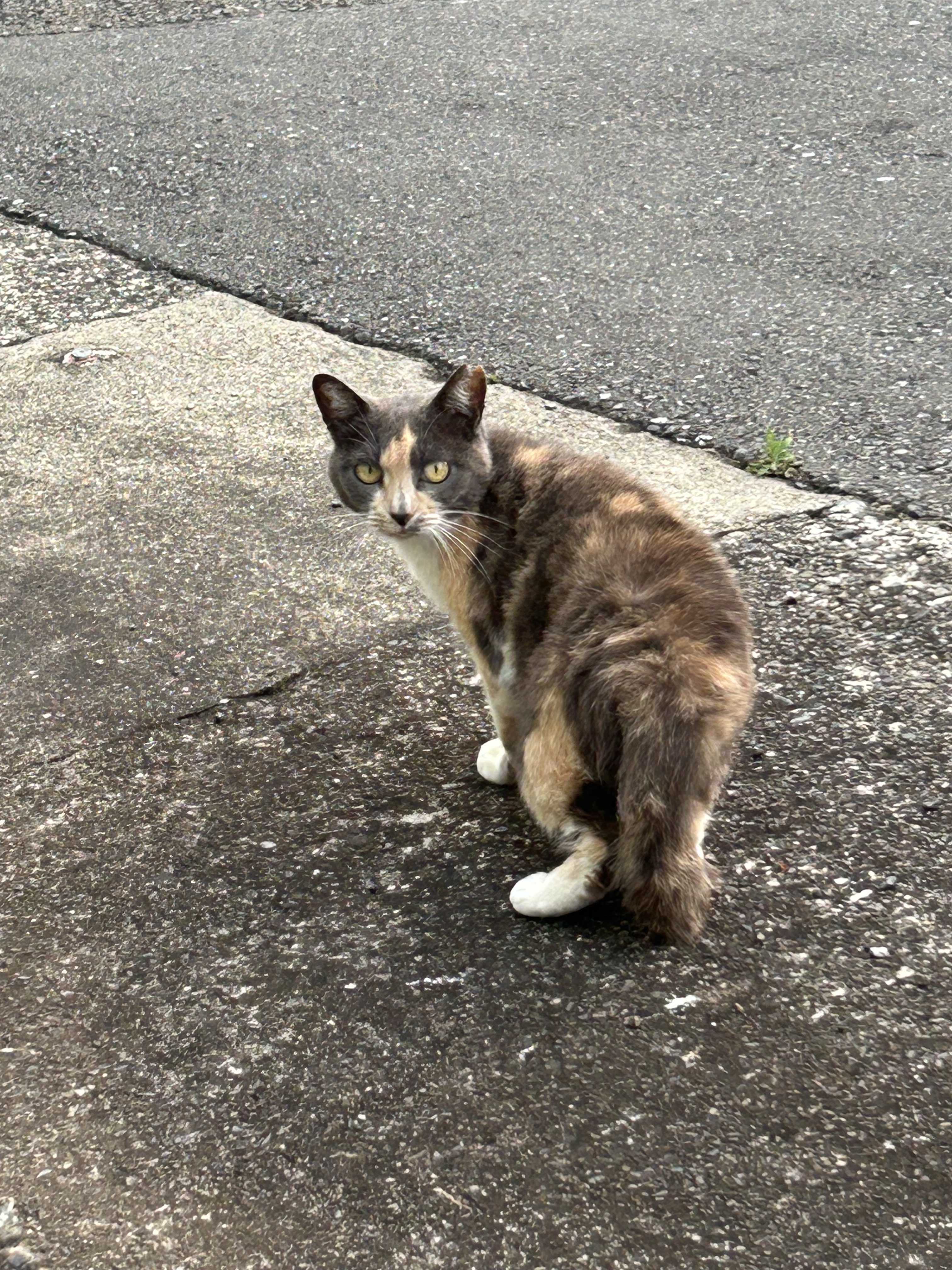 ユウエース