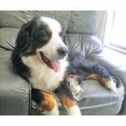 MASAKI FC U-12