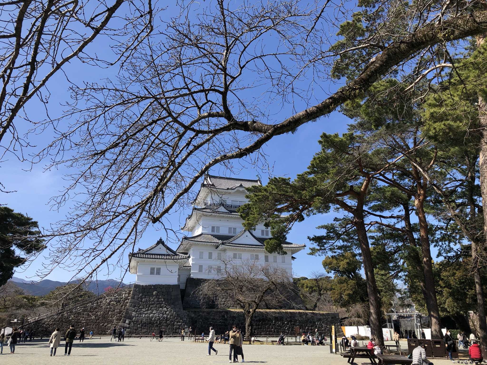 サンママココット