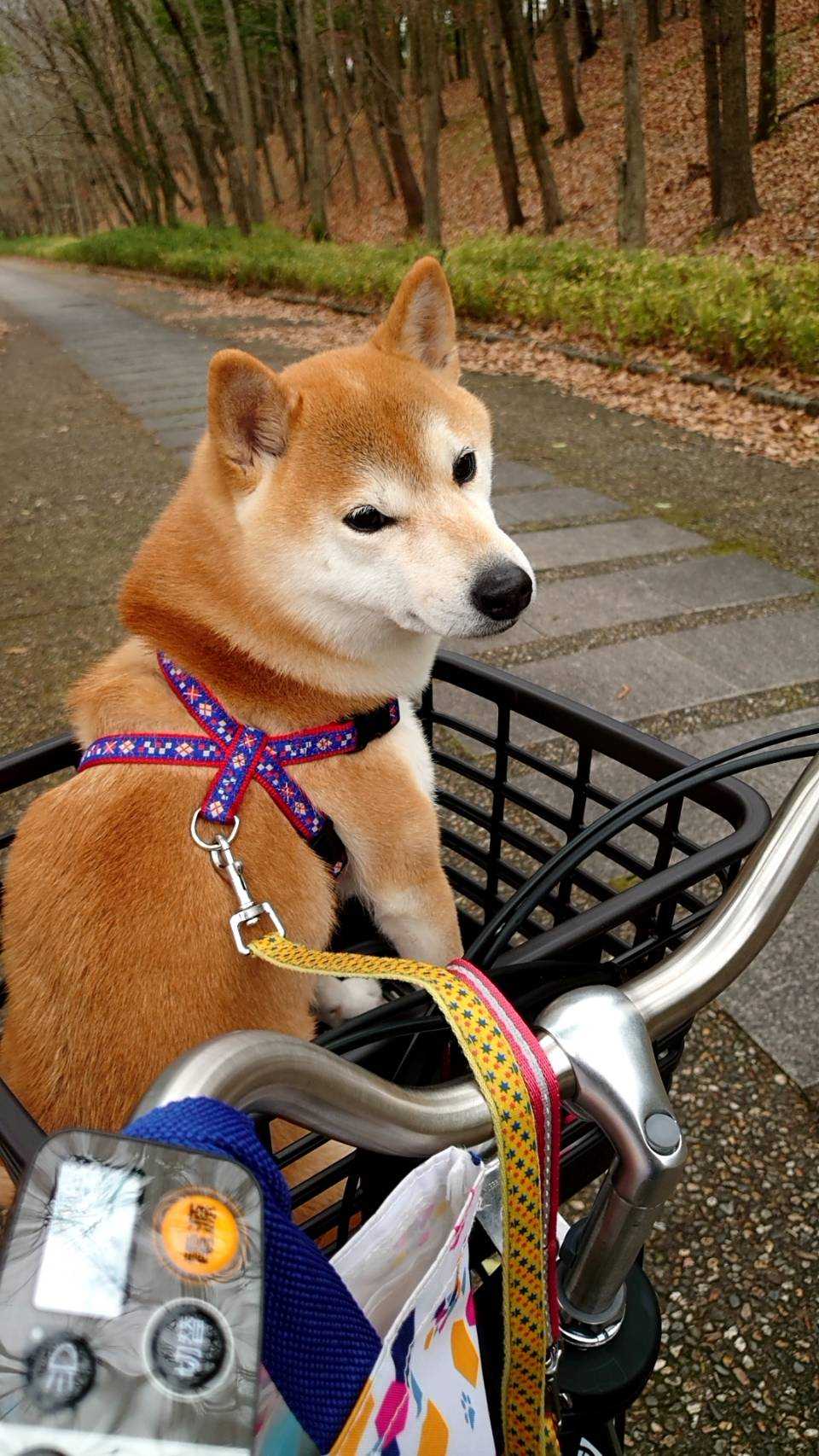 アイブロックスパーク