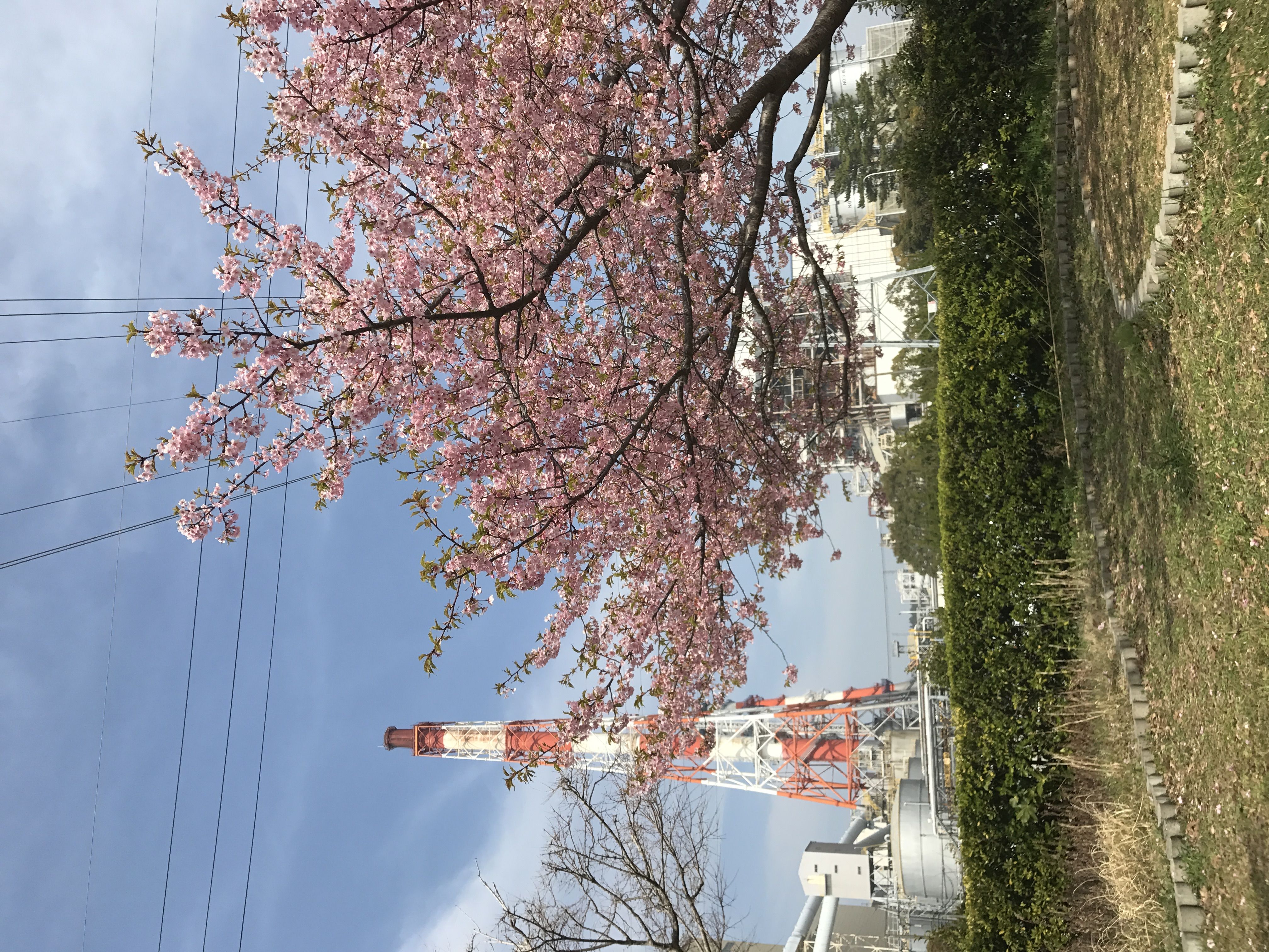 ひなた0612