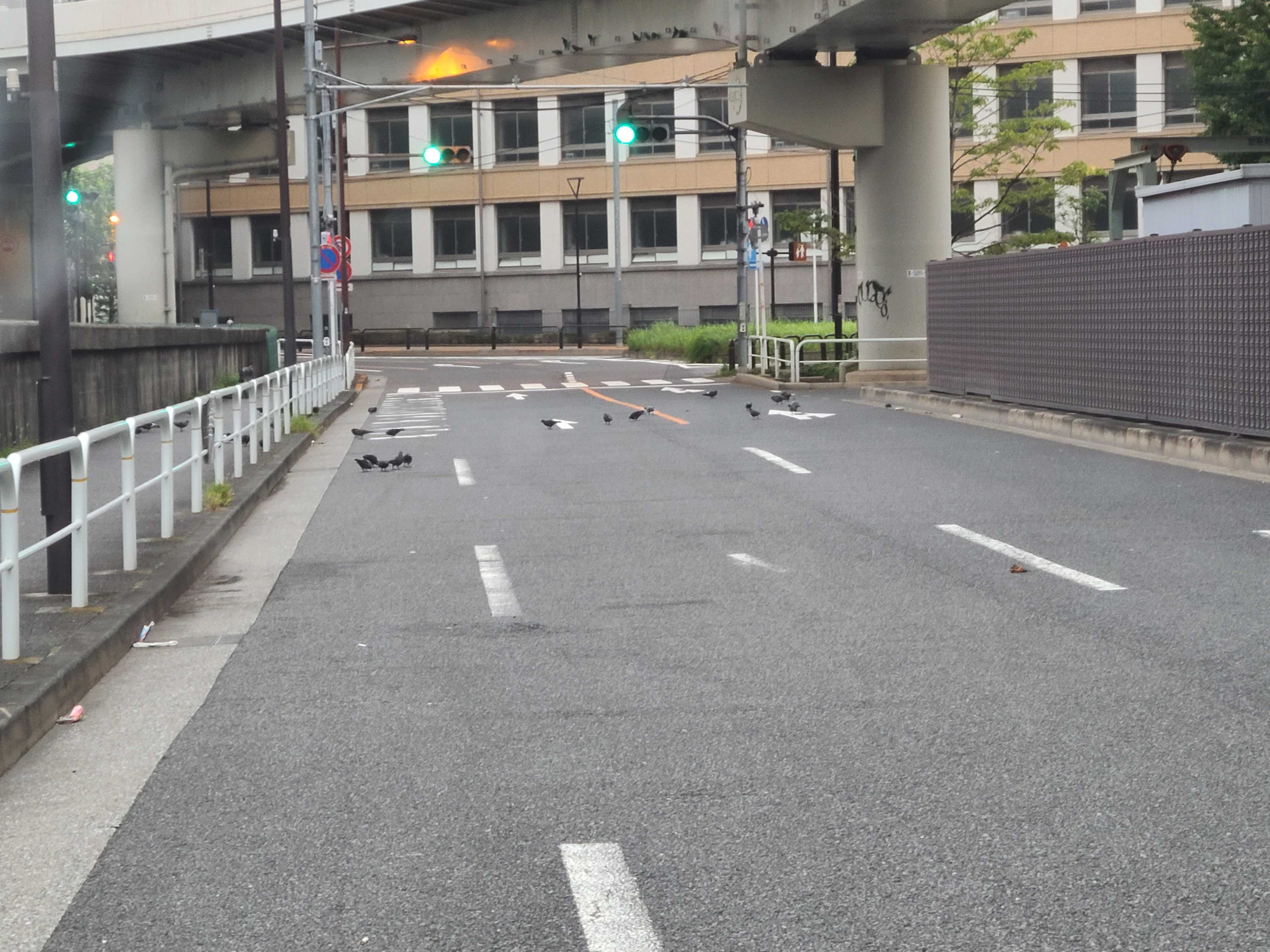 こうえんじとなかの