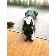 みのりんあわあわ