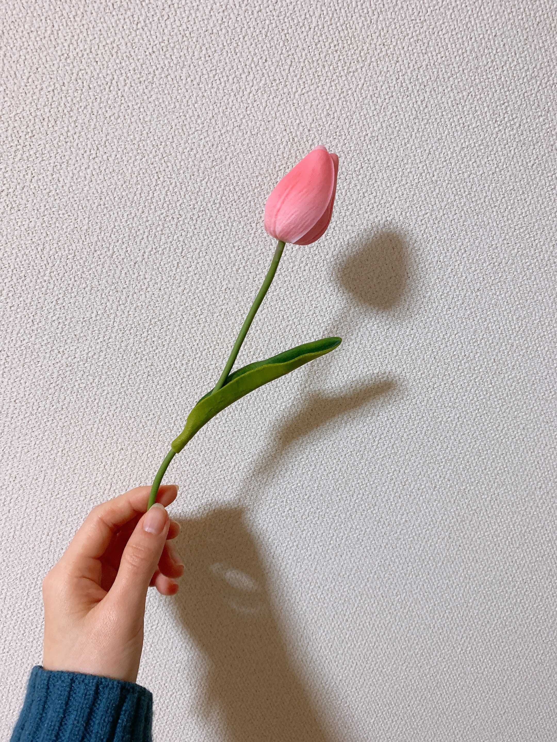 犬と熊