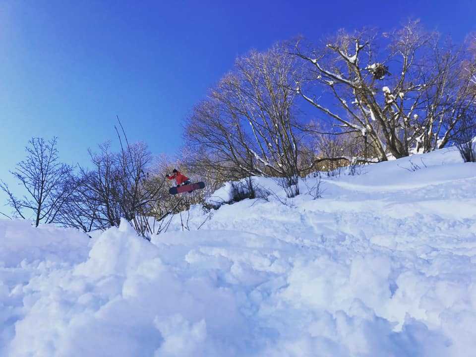 なおたん1058