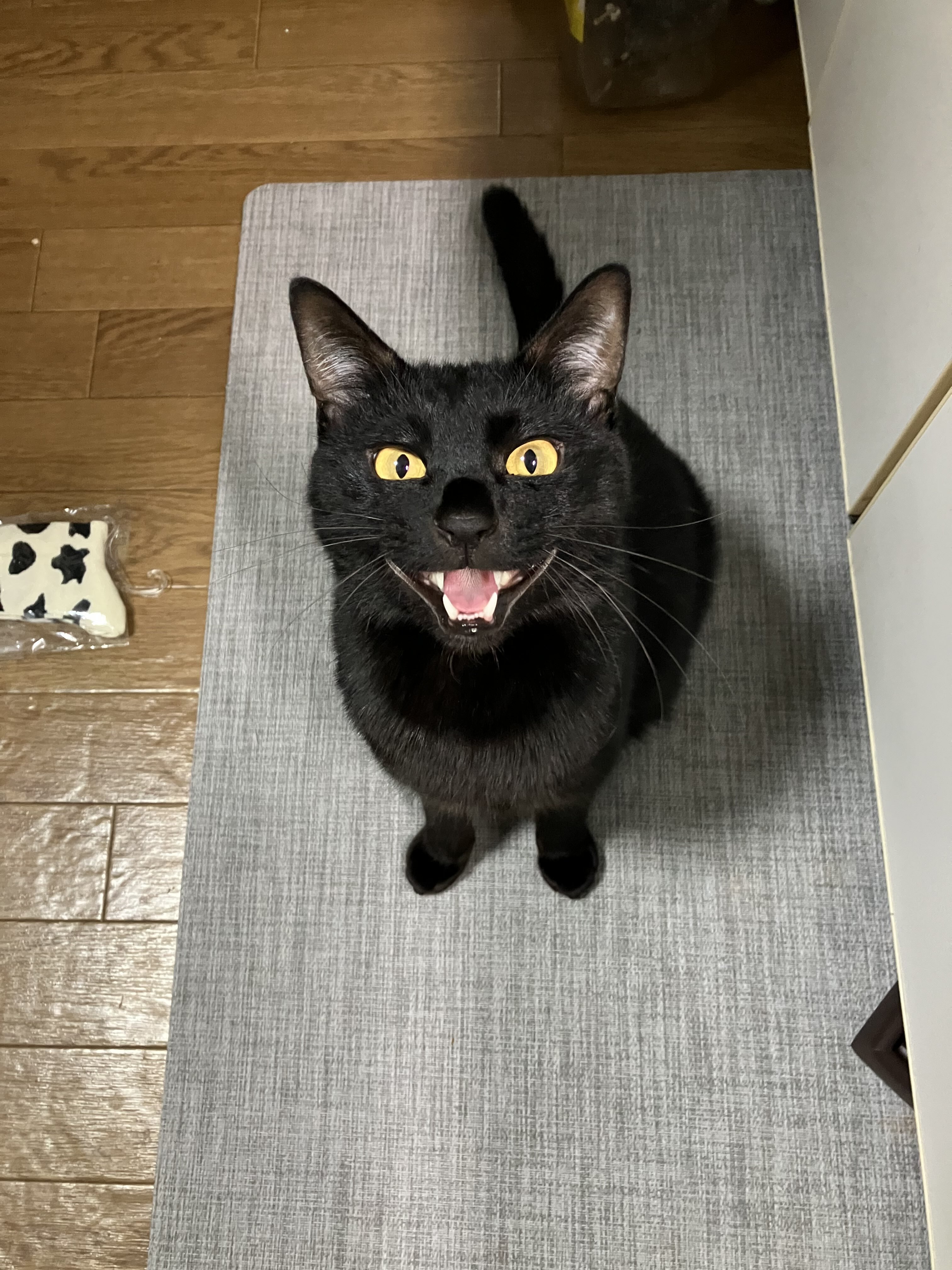 tipy0388