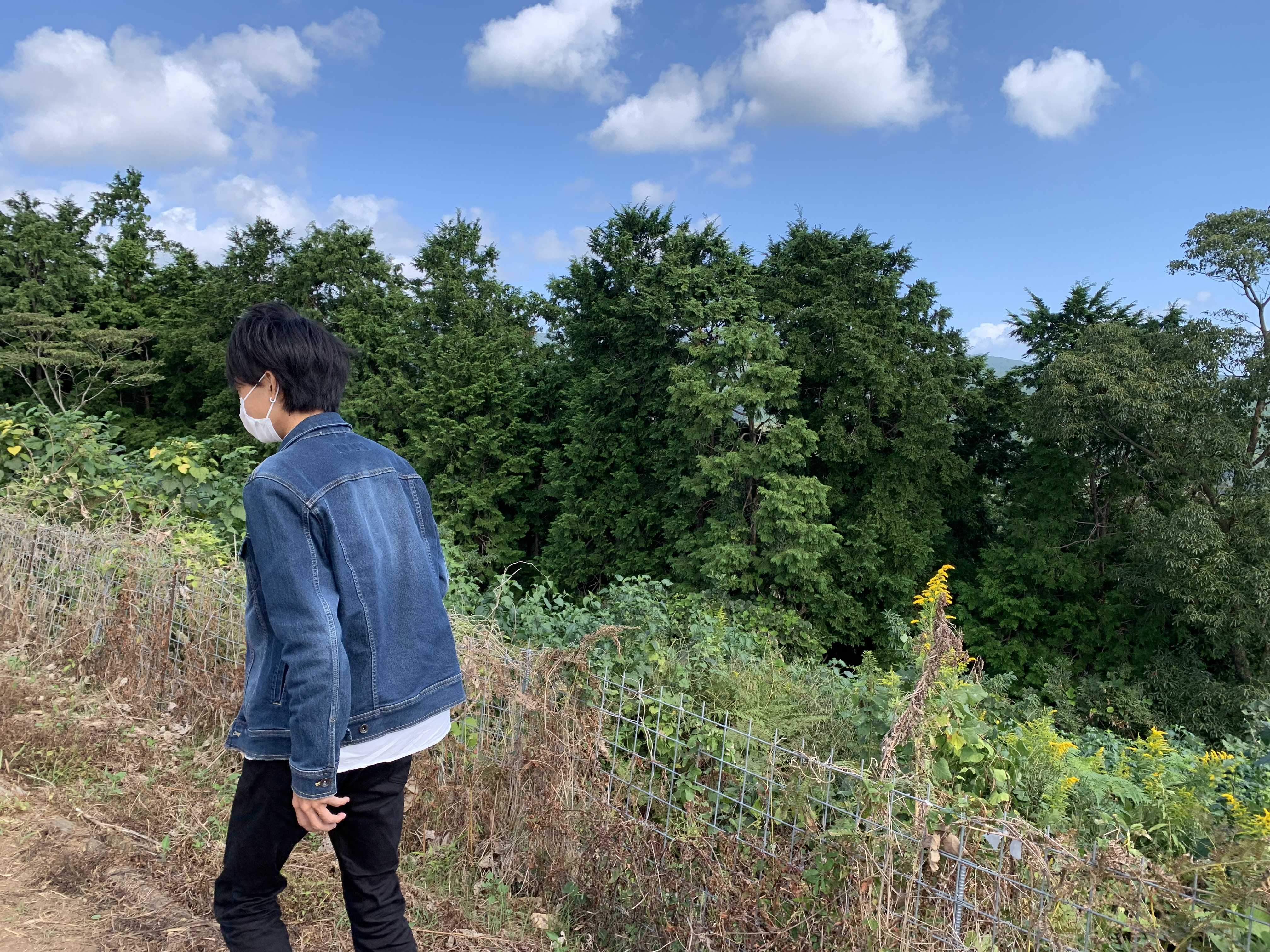 まさきのきまぐれ