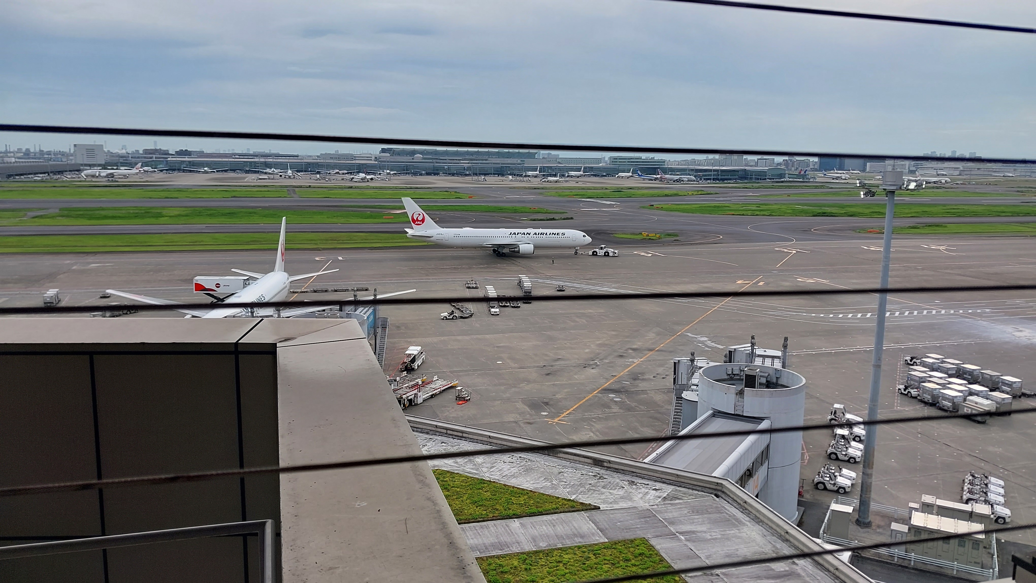 ホワイトベアリング