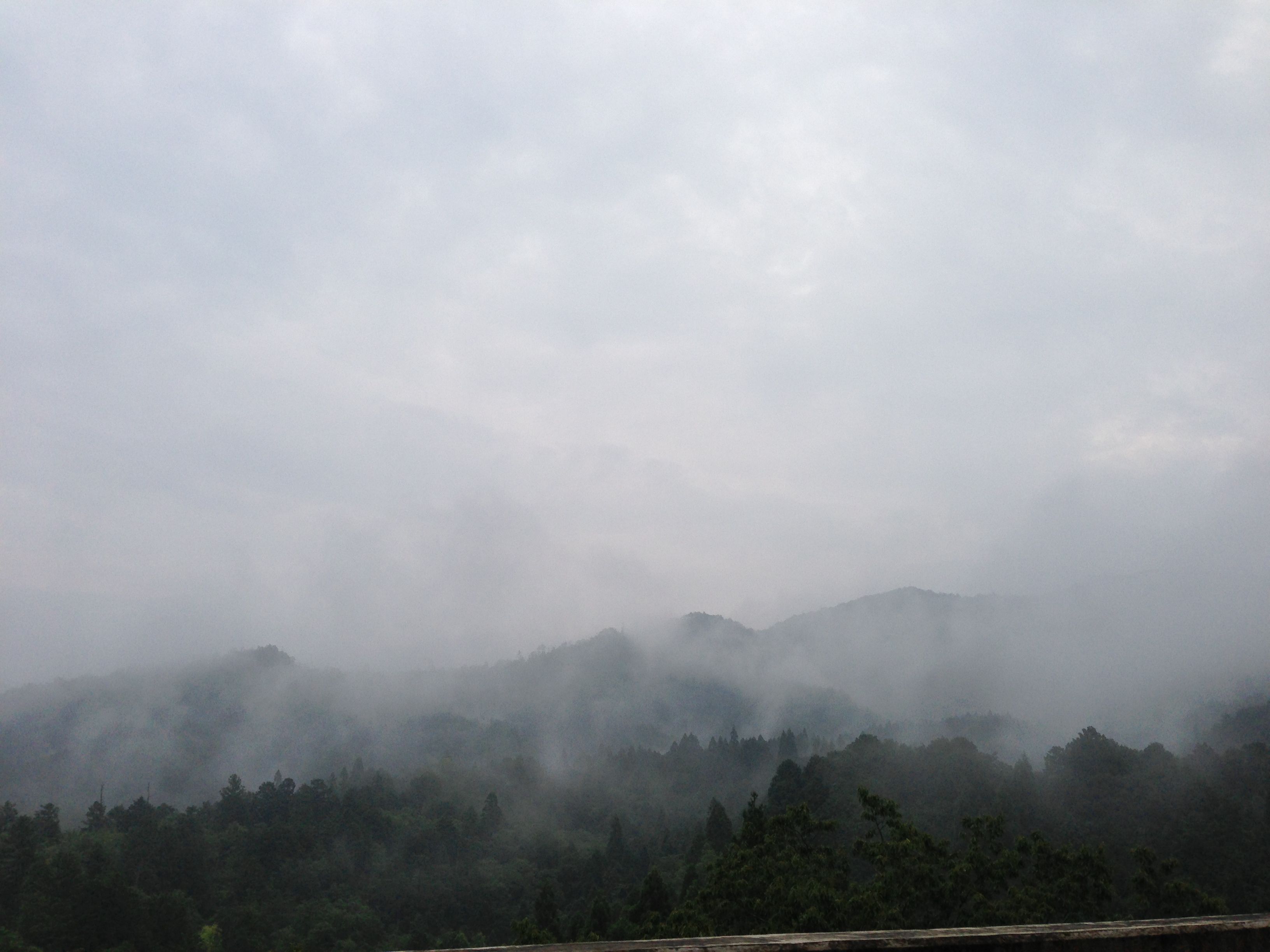 more_izuru