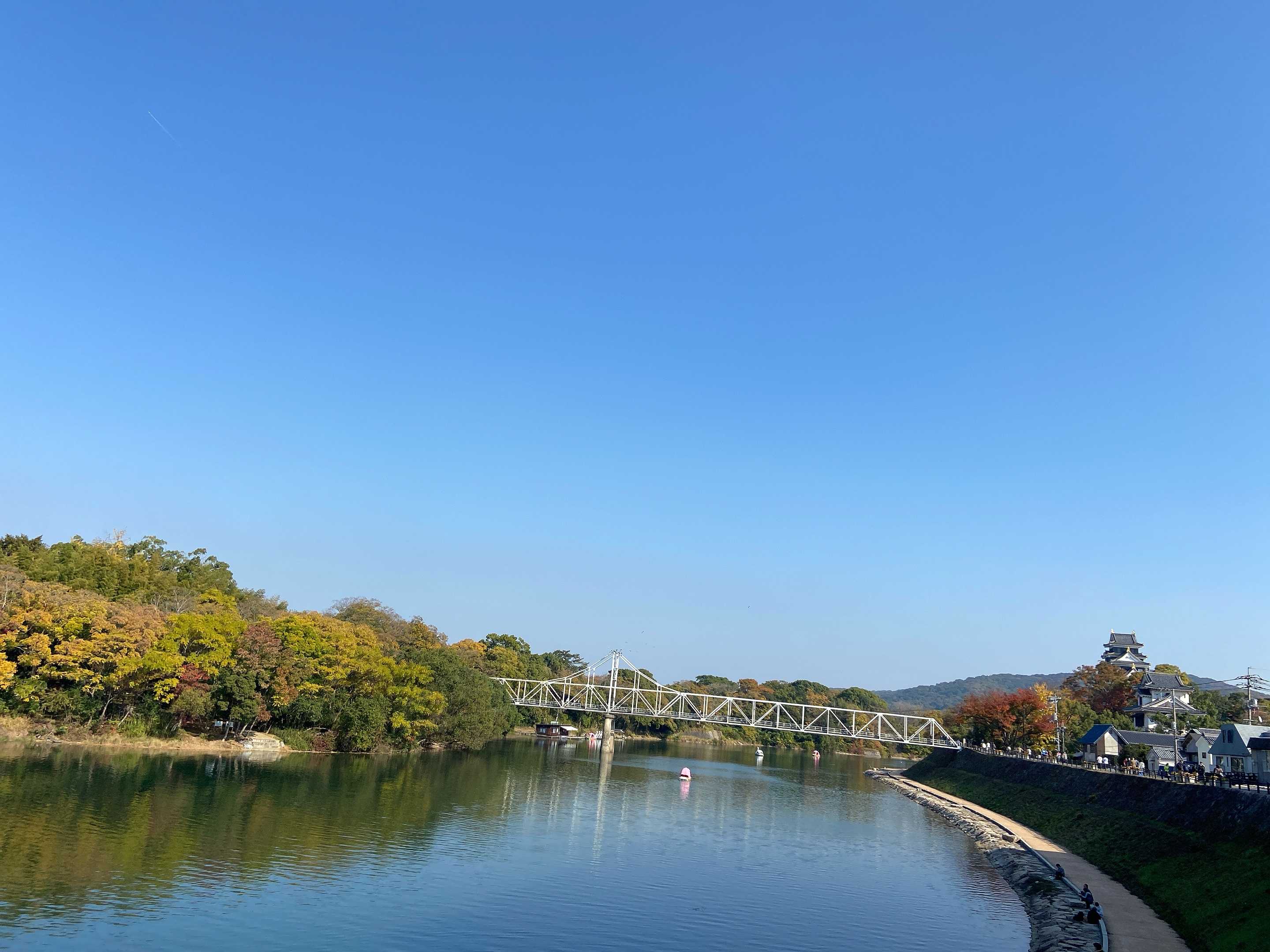 ふんわり薬膳喫茶
