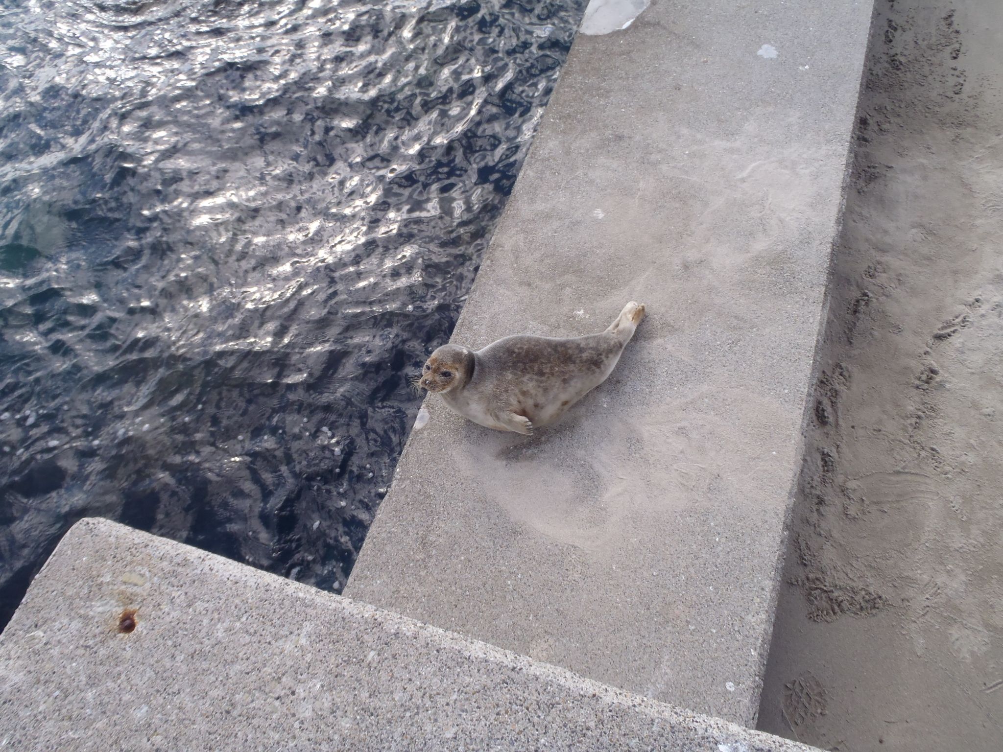 アフィリエイター松原