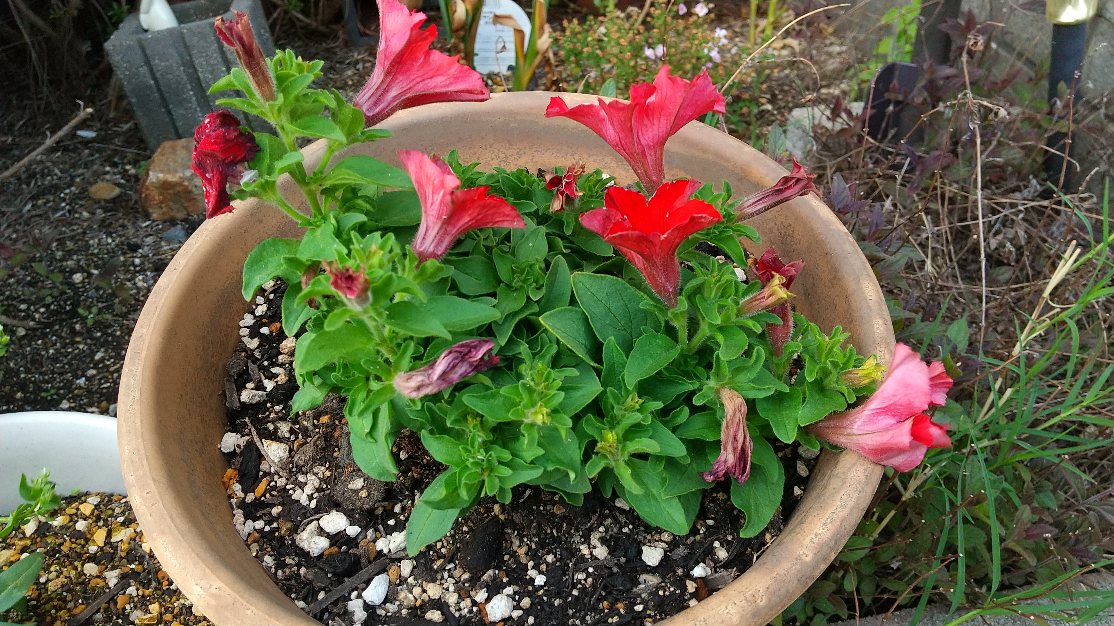 colors05102025