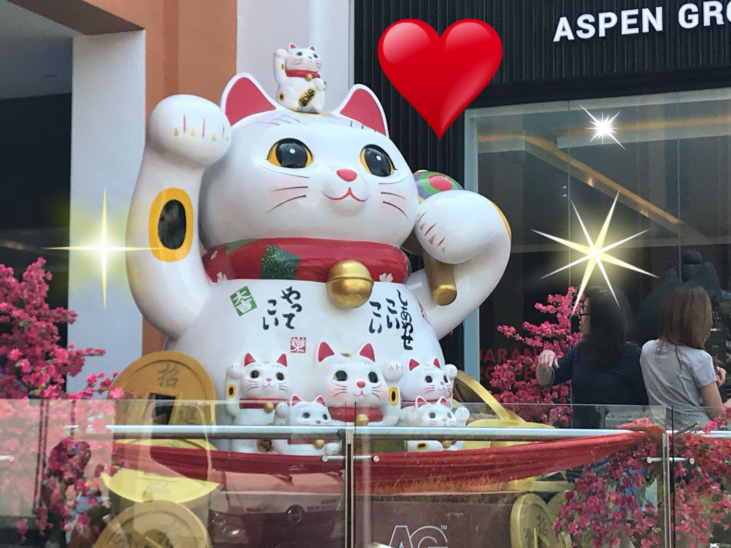 ミラクルキャッチャー