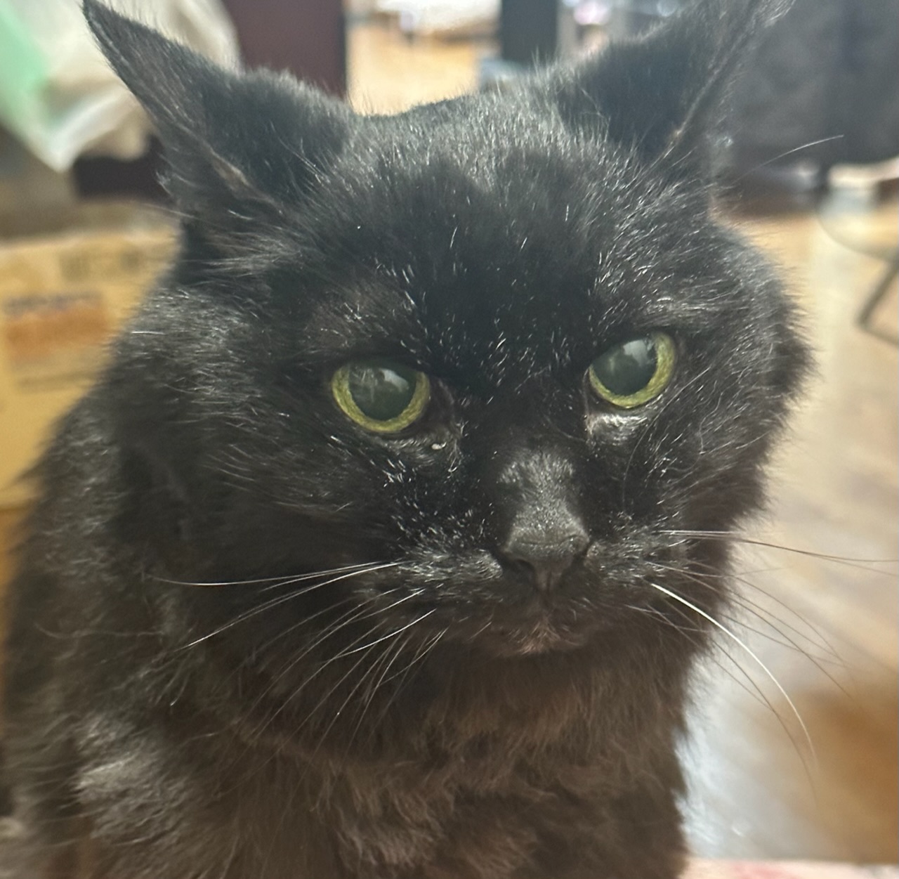 有限会社蟹王国（裏）