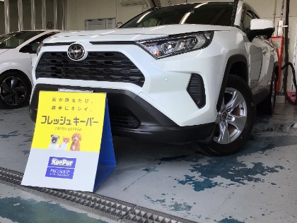 RAV4(トヨタ)のフレッシュキーパー