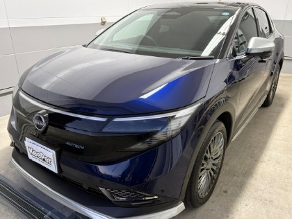 リーフ(日産)のダイヤモンドキーパー
