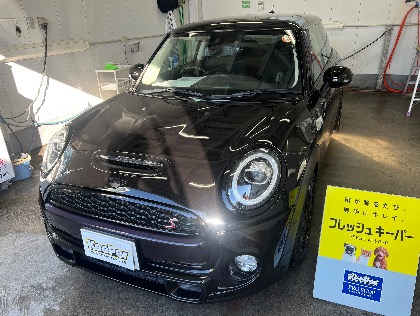 ミニ(ミニ)のフレッシュキーパー