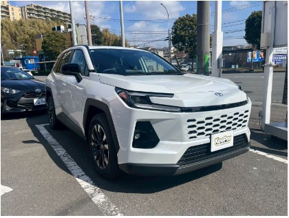 RAV4(トヨタ)のエコダイヤモンドキーパー【20％オフ】