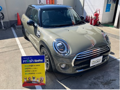 ミニ(ミニ)の【一番人気】フレッシュキーパー