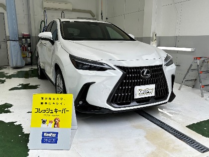 NX250(レクサス)のフレッシュキーパー