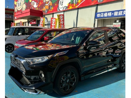 RAV4(トヨタ)のエコダイアキーパー