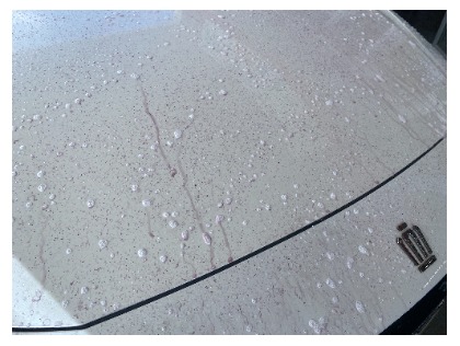 クラウン クロスオーバー ハイブリッド(トヨタ)のフレッシュキーパー