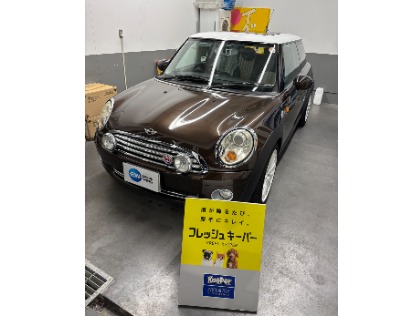 ミニクーペ(ミニ)のフレッシュキーパー