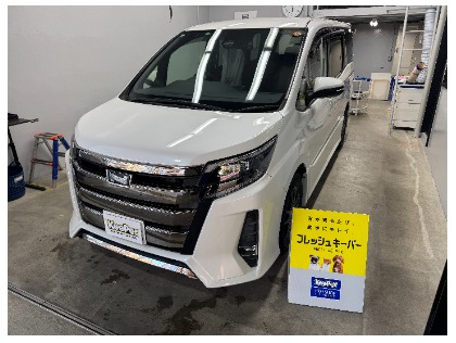 ノア(トヨタ)の【女性人気No.1！】フレッシュキーパー