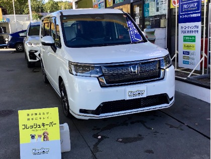 ステップワゴン スパーダ ハイブリッド(ホンダ)の【11月施工限定特典付】フレッシュキーパー→20%OFF!!さらに樹脂フェンダーキーパー無料！！(※代車無料貸し出し）