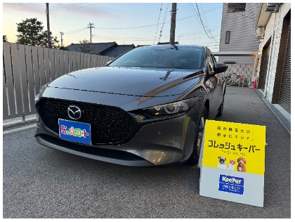 MAZDA3 ファストバック(マツダ)のフレッシュキーパー