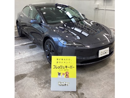 モデル3(テスラ)のフレッシュキーパー