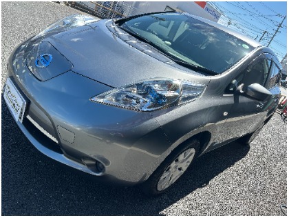 リーフ(日産)のクリスタルキーパー