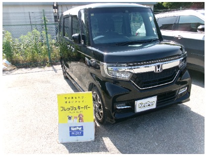 N BOX(ホンダ)のフレッシュキーパー