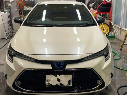 カローラフィールダー(トヨタ)の【口コミ投稿限定】【25％OFF】フレッシュキーパー