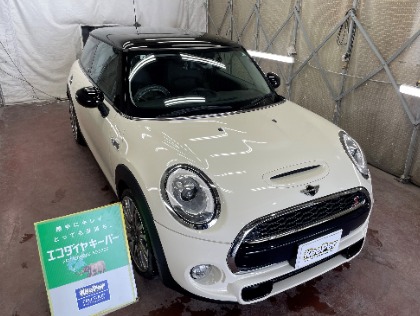 ミニ(ミニ)のECOプラスダイヤモンドキーパー