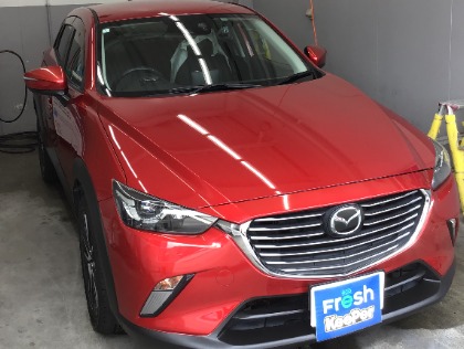 CX-3(マツダ)のフレッシュキーパー