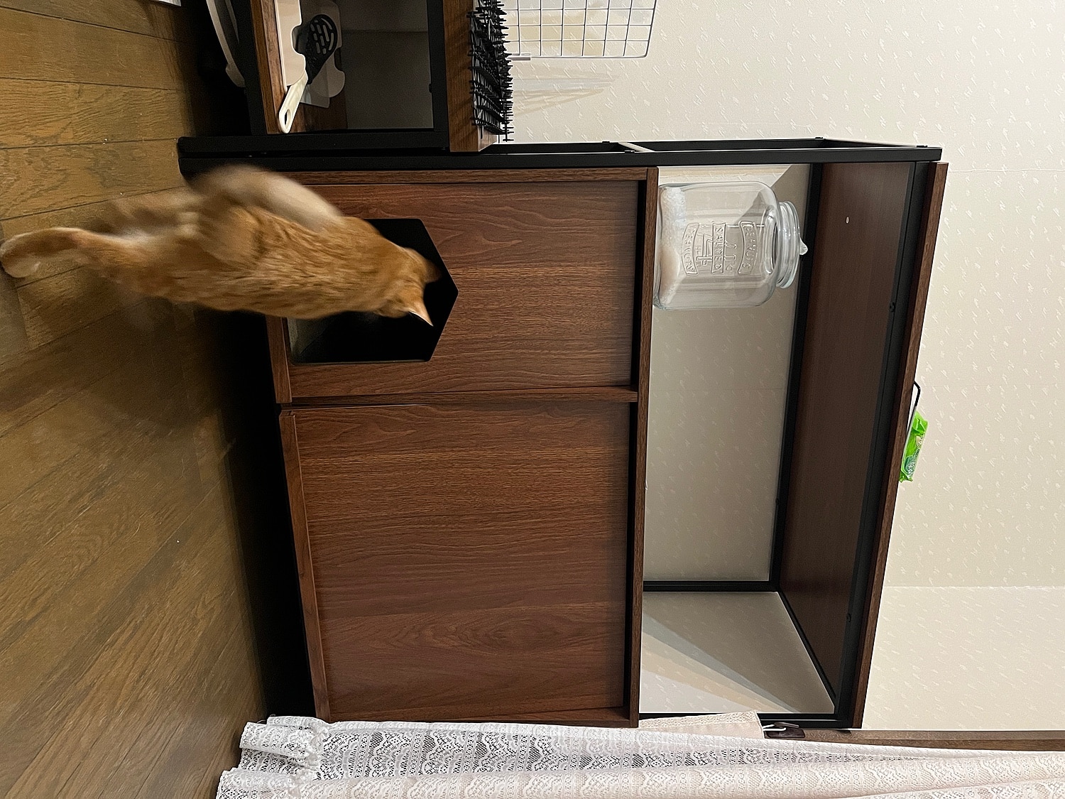 猫 トイレ 収納 隠す おしゃれ 家具 目隠し ペット用品 ねこ カバー インテリア ラック リビング 収納 棚 収納棚 猫トイレ収納 Selma セルマ レビュー画像8