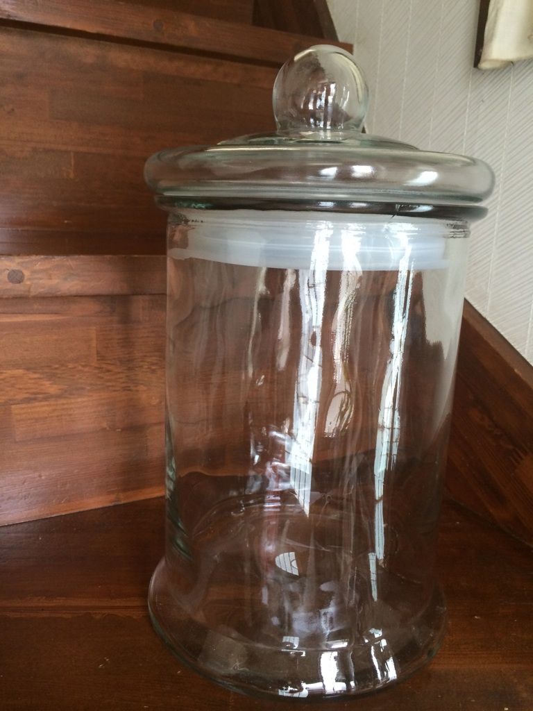楽天市場 ガラスジャー Glass Jar 期待を裏切らない ガラスジャー ガラス瓶 調味入れ スパイス入れ スパイス容器 ガラス容器 キャニスター ガラスキャニスター ビン 蓋付き 4 5l おしゃれ シンプル ロゴ無し インテリア 北欧 収納 雑貨 ガラス プリズム みんなの