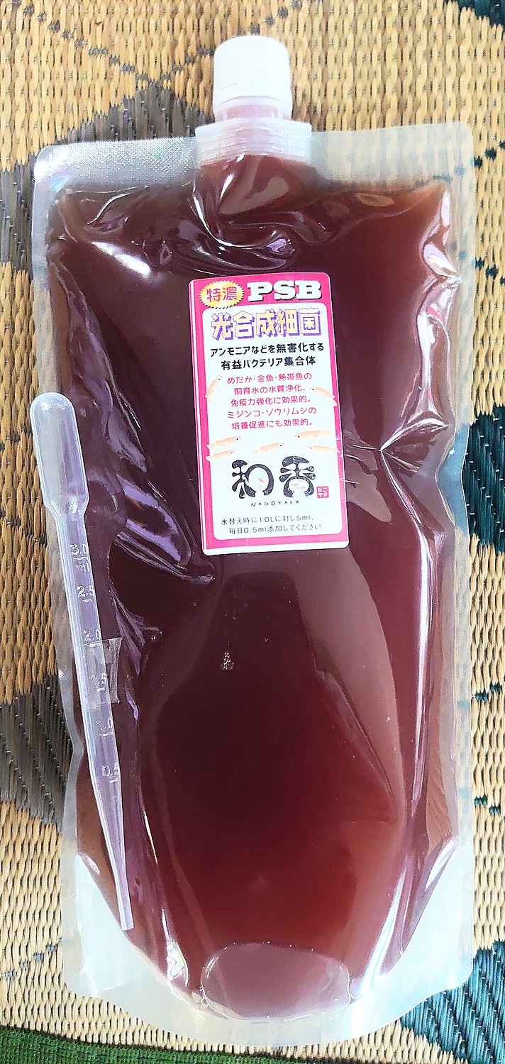 和香 高濃度 PSB 光合成細菌 1000ml バクテリア 水質浄化 免疫 メダカ