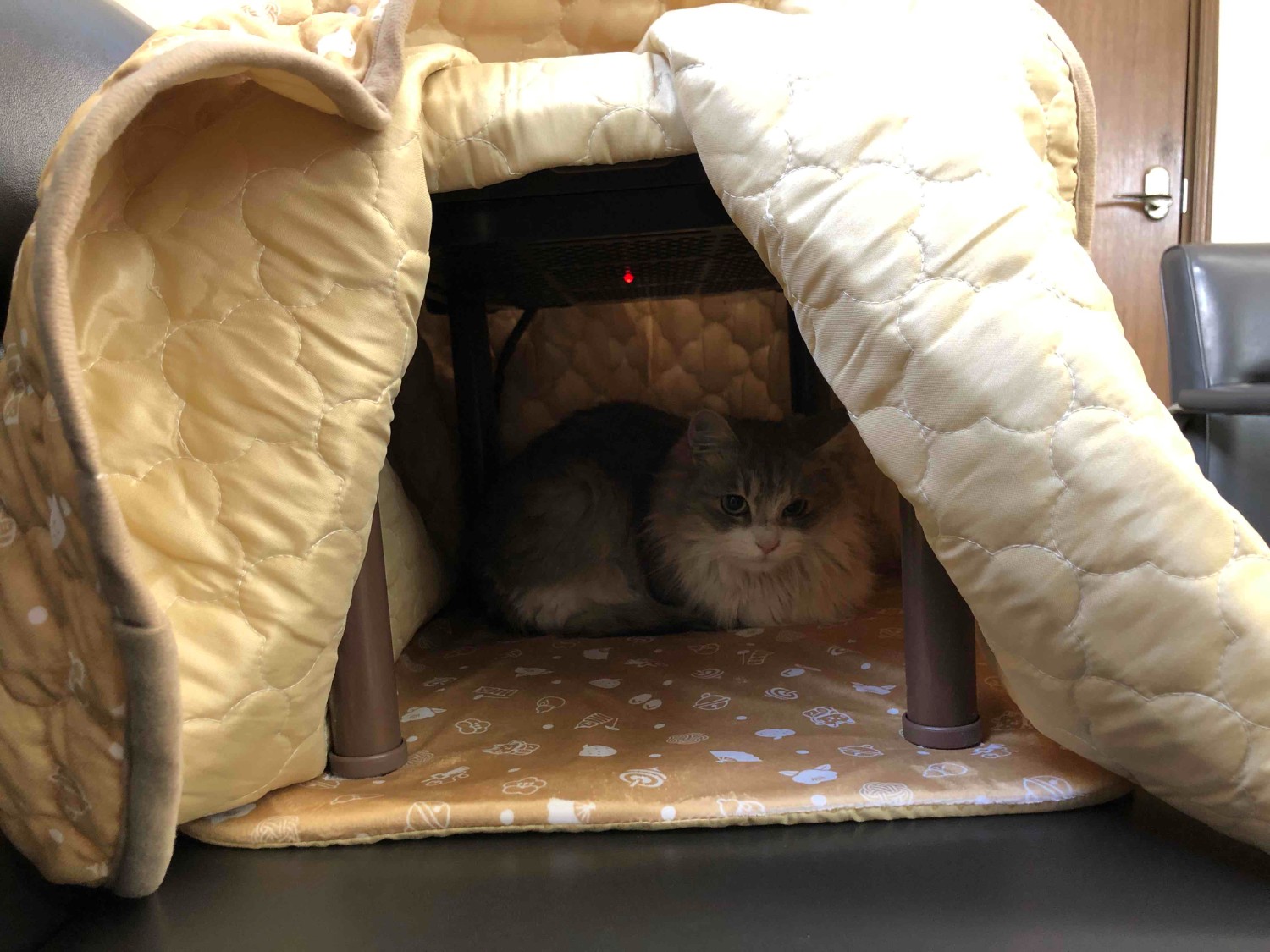 楽天市場】【即納在庫品】 猫用こたつ 猫 ハウス 省エネ 遠