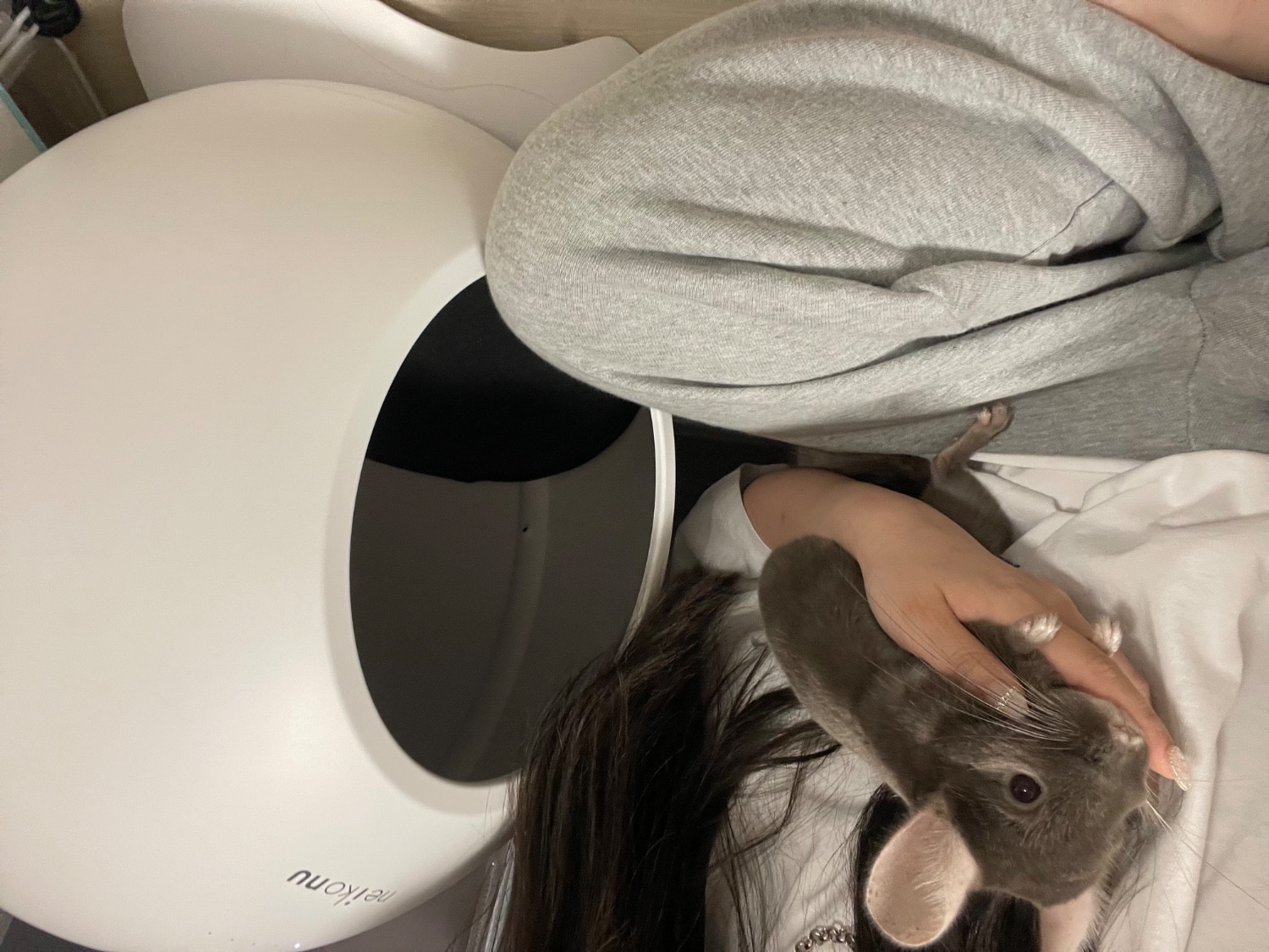 楽天市場】【10%OFFクーポン】 neikonu ROOM ネイコヌ ルーム 床