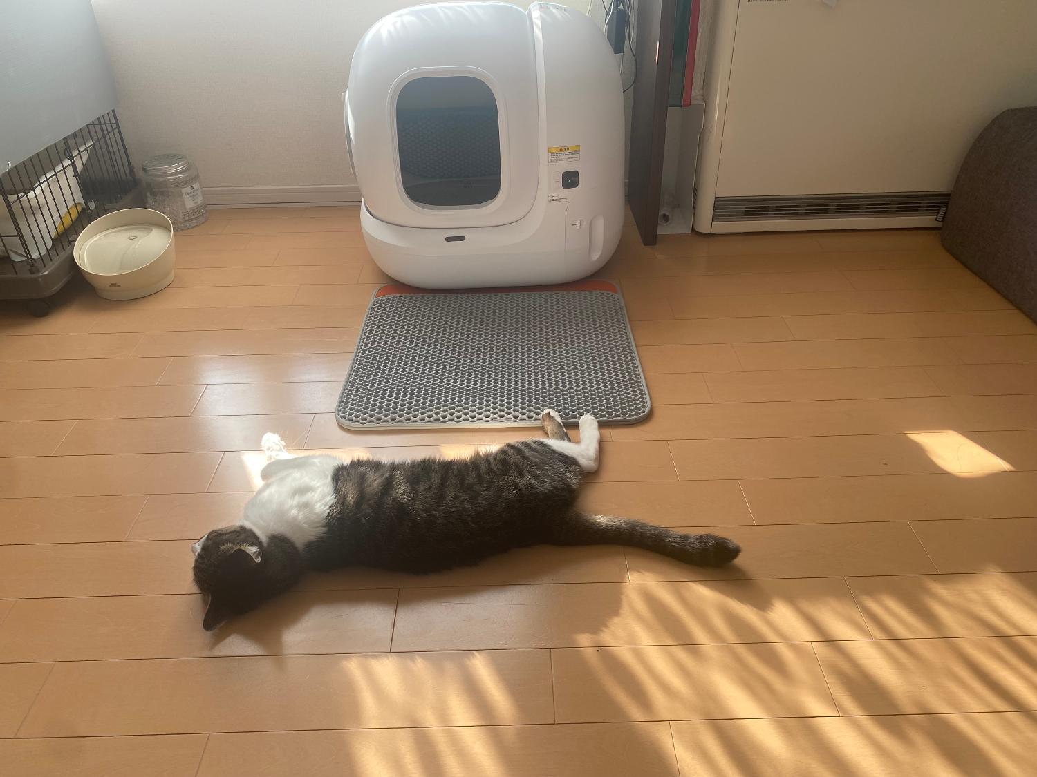 購入者レビュー写真