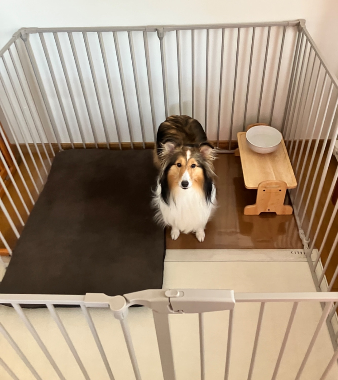 ★ポイント5倍★ 犬 ゲージ おしゃれ ｜ ペット サークル ケージ ペットサークル ペットゲージ ドッグサークル ドッ 犬用ケージ citydogレビュー シンプルモダンケージ レビュー画像16